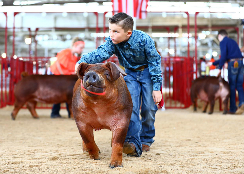 It Starts With You Biosecurity Reminders for Youth Swine Shows Pork